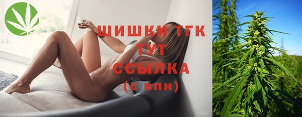 эйфоретик Кукмор