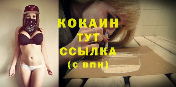 эйфоретик Кукмор