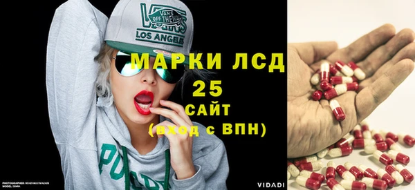 эйфоретик Кукмор