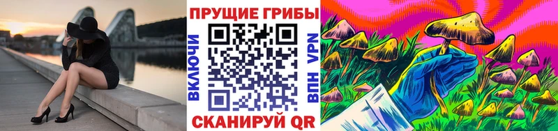 Псилоцибиновые грибы Psilocybine cubensis  наркота  Ильский 